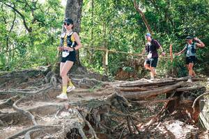 BIB: 
                            <button type="button" onclick="openModal(27719836)" class="btn btn-primary btn-sm float-right btn-popup" data-toggle="modal" data-target=".modal-high-quality">
                        <i class="fas fa-shopping-cart"></i> Add to Cart
                    </button>
                                            <button type="button" onclick="isThisMe(27719836, true)" class="btn btn-success btn-sm float-right btn-popup btn-isme hidden" data-toggle="tooltip" data-placement="bottom" title="นี่คือรูปของคุณใช่ไหม คลิกที่นี่เพื่อเอาเข้าอัลบั้ม">
                        <i class="fas fa-plus"></i> Add to album
                    </button>
                    <button type="button" onclick="isThisMe(27719836, false)" class="btn btn-warning btn-sm float-right btn-popup btn-isnotme hidden">
                        <i class="fas fa-ban"></i> Remove from album
                    </button>